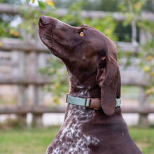 Load image into Gallery viewer, Magnetic Lock Quick-Fit Collars / Leads
