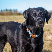 Load image into Gallery viewer, Magnetic Lock Quick-Fit Collars / Leads