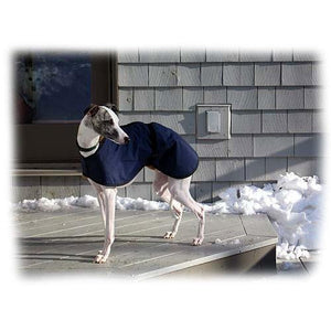 whippet coat in navy blue. made in the uk and send to snowy America
