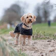 Load image into Gallery viewer, Dog wearing a black jacket standing on a dirt path with a blurred natural background