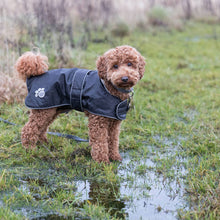 Load image into Gallery viewer, Dog wearing a black raincoat standing in a grassy area with a puddle.