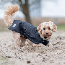 Load image into Gallery viewer, Dog wearing a black raincoat with a paw print on a sandy surface