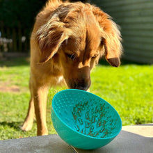 Load image into Gallery viewer, Orva Enrichment Wobble Bowl