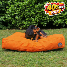 Load image into Gallery viewer, Dog sitting on an orange dog bed in a grassy area with green bushes in the background