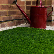 Load image into Gallery viewer, Toilet Turf