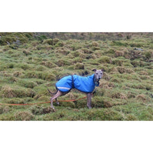 Load image into Gallery viewer, coats for whippets uk. hard wearing fleece lined whippet jackets and raincoats