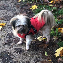 Load image into Gallery viewer, Pomchi dog coat