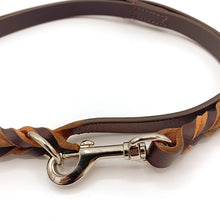 Load image into Gallery viewer, Premium Brown Leather Dog Training lead - Braided