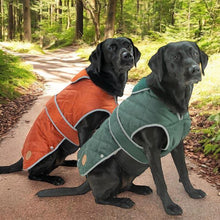 Load image into Gallery viewer, quilted dog coat with harness hole