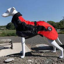 Load image into Gallery viewer, drydogs blaze greyhound coat in red
