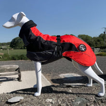 Load image into Gallery viewer, drydogs blaze greyhound coat in red