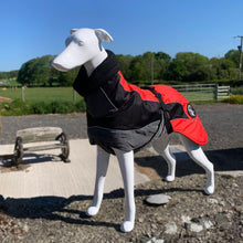 Load image into Gallery viewer, drydogs "Blaze" greyhound coat red