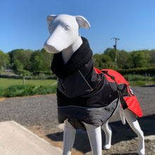 Load image into Gallery viewer, drydogs "Blaze" greyhound coat red