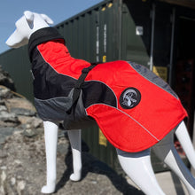Load image into Gallery viewer, drydogs "Blaze" greyhound coat red