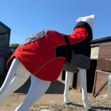 Load image into Gallery viewer, drydogs "Blaze" greyhound coat red
