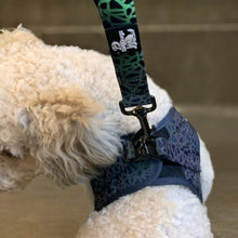 Load image into Gallery viewer, Reflective dog harnesses made from neoprene