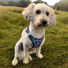 Load image into Gallery viewer, Reflective dog harnesses made from neoprene