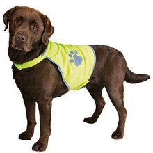 Load image into Gallery viewer, reflective hi vis safety vest for dogs