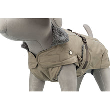 Load image into Gallery viewer, 2-in-1 dog coat with harnes hole and reflective