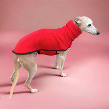 Load image into Gallery viewer, Runo - extra-thick greyhound/whippet base layer coat
