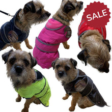 Load image into Gallery viewer, waterproof dog coat with harness hole