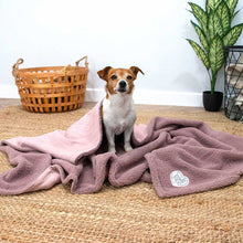 Load image into Gallery viewer, Teddy Bear Sherpa Fleece Dog Blanket Bedding
