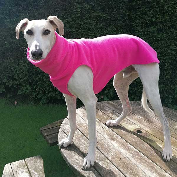 Sighthound Sleeveless Fleece Sweater, Whippet Jumper, Greyhound Jumper