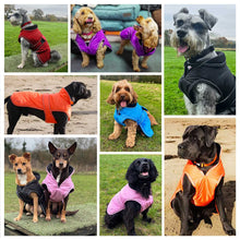 Load image into Gallery viewer, A 3x3 collage showing multiple dogs wearing different colored dog jackets, including red, purple, black, orange, and pink, in outdoor settings like grassy fields and sandy beaches.
