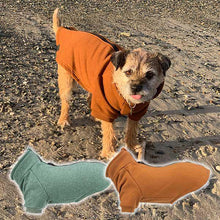 Load image into Gallery viewer, Dog jumper with harness hole