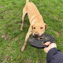 Load image into Gallery viewer, barbell plate tough dog toy