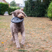 Load image into Gallery viewer, barbell plate tough dog toy