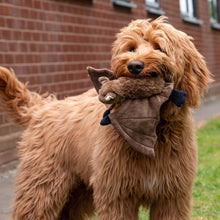 Load image into Gallery viewer, Plush Animal Toys with Squeak
