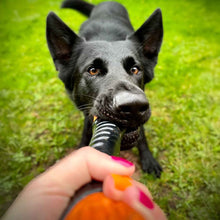 Load image into Gallery viewer, tough floating dog toy baton
