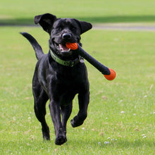 Load image into Gallery viewer, Black dog running on grass with a toy in its mouth