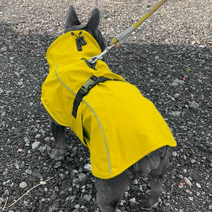 Best dog coat for French Bulldogs