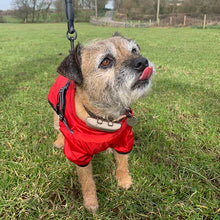 Load image into Gallery viewer, red - harness dog coat