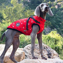 Load image into Gallery viewer, winter snowflake waterproof dog jacket