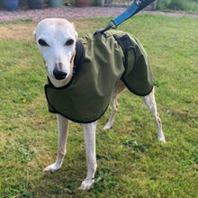 Load image into Gallery viewer, harness hole whippet coat