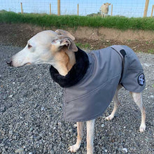 Load image into Gallery viewer, Fur snood whippet coat
