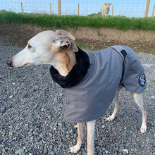Load image into Gallery viewer, Fur snood whippet coat