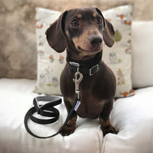 Load image into Gallery viewer, Viva Collars / Harnesses / Leads Collection