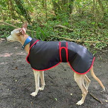 Load image into Gallery viewer, winter greyhound coat with harness hole zip