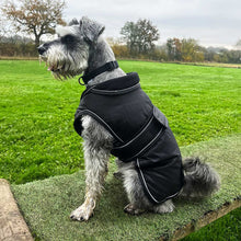 Load image into Gallery viewer, A gray and white Schnauzer dog wearing a black dog coat with white piping, sitting on artificial grass in an outdoor park setting.