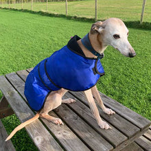 Load image into Gallery viewer, best winter whippet coat blue vetra drydogs