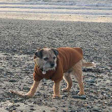 Load image into Gallery viewer, Amsterdam dog jumper with back zip