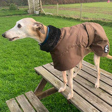 Load image into Gallery viewer, chocolate brown ofira whippet coat from drydogs