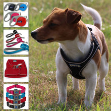 Load image into Gallery viewer, viva collars leads and harnesses