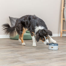 Load image into Gallery viewer, Strategy Treat Dog Games-various levels of difficulty