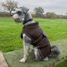 Load image into Gallery viewer, A gray and white Schnauzer dog wearing a brown dog coat with white piping, sitting on a patch of artificial grass in an outdoor park setting.