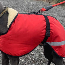 Load image into Gallery viewer, red whippet coat with reflective for safety